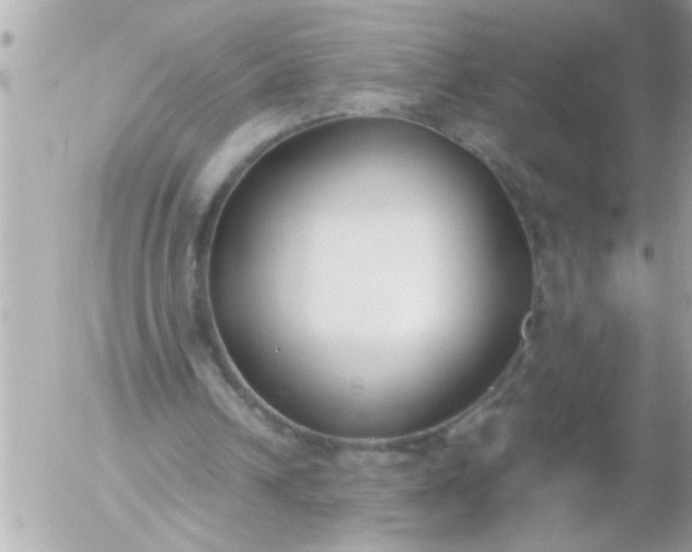 X0000055510242200508262147