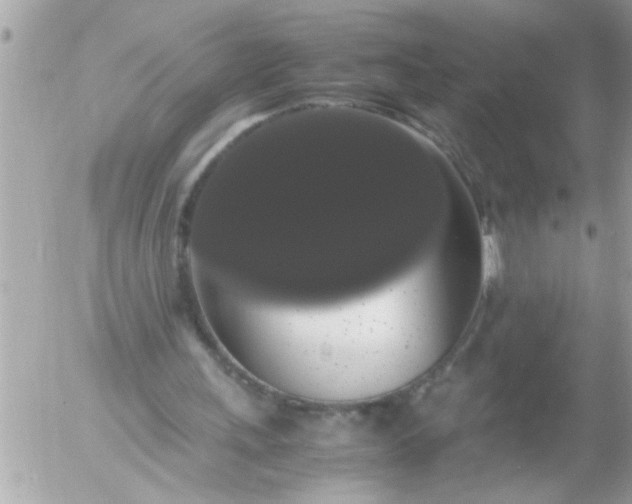 X0000055510243200508262147