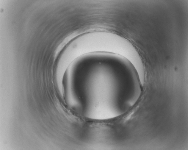 X0000055510244200508262147