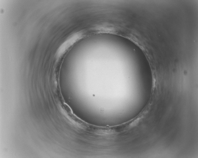 X0000055510245200508262147