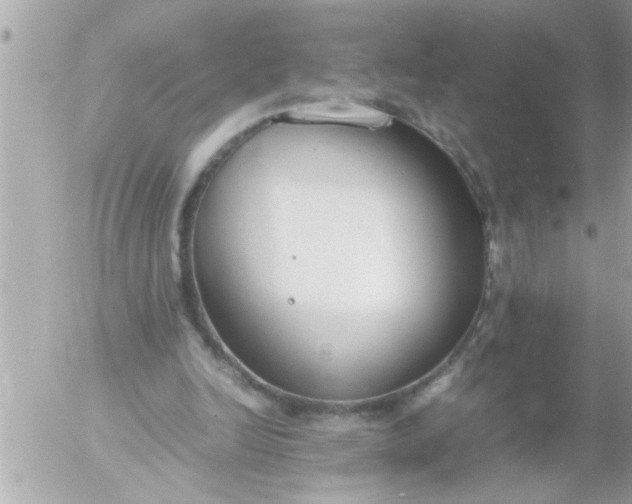 X0000055510246200508262147