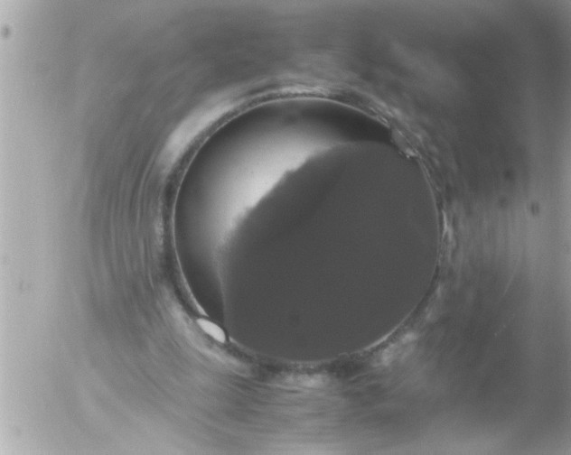 X0000055510247200508262147