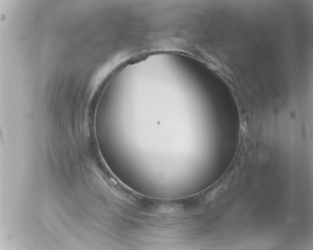 X0000055510248200508262147