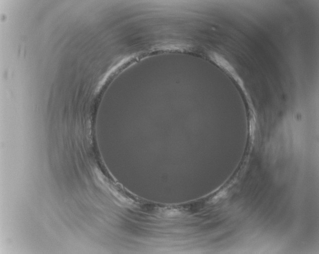 X0000055510249200508262147