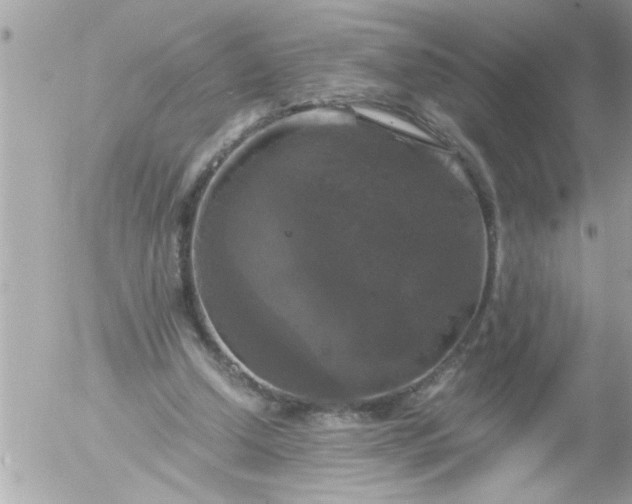 X0000055510250200508262147