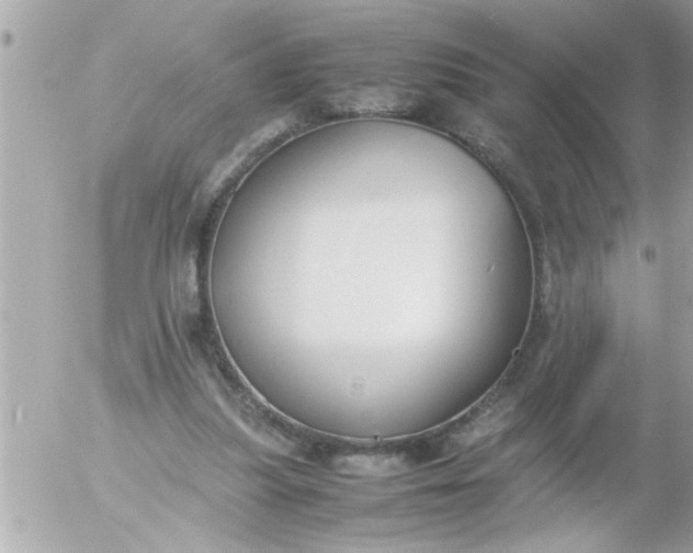 X0000055510251200508262147