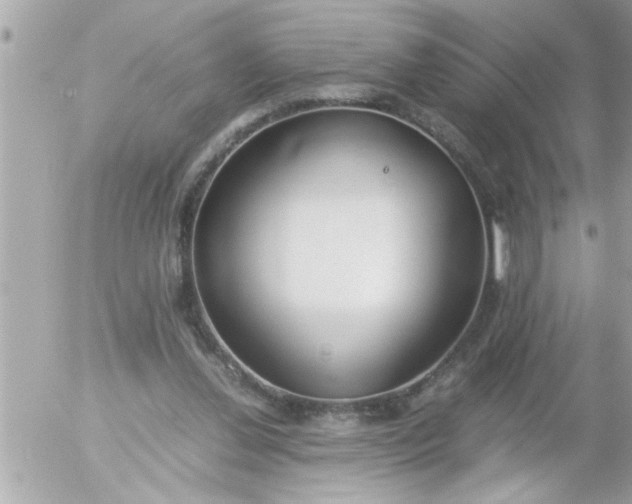 X0000055510252200508262147