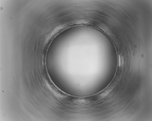 X0000055510253200508262147