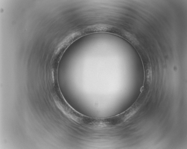 X0000055510254200508262147