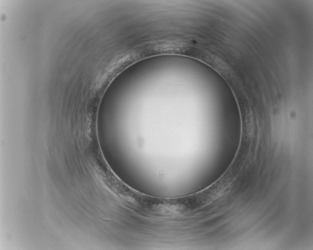 X0000055510255200508262147