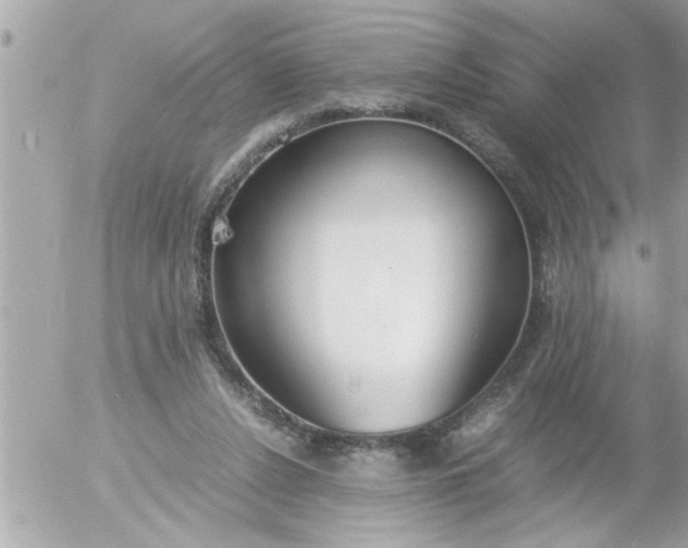 X0000055510256200508262147