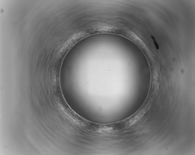 X0000055510257200508262147