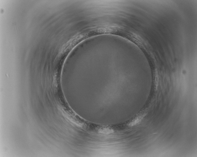 X0000055510258200508262147