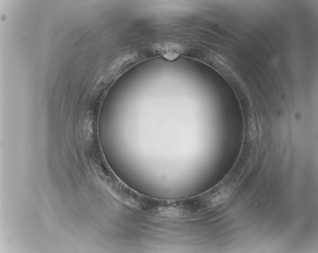 X0000055510259200508262147