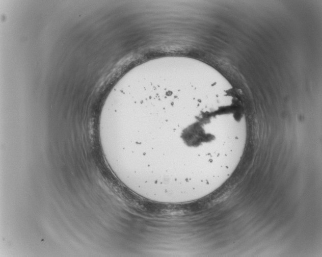 X0000055510260200508262148