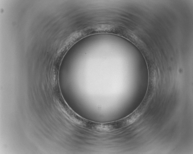 X0000055510261200508262148