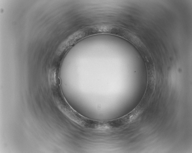 X0000055510262200508262148