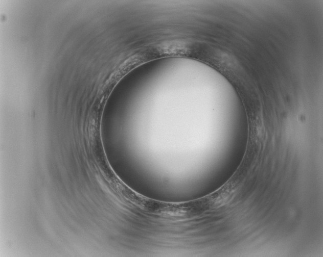 X0000055510263200508262148