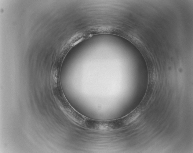 X0000055510264200508262148