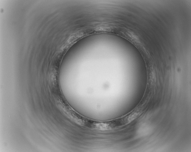 X0000055510265200508262148