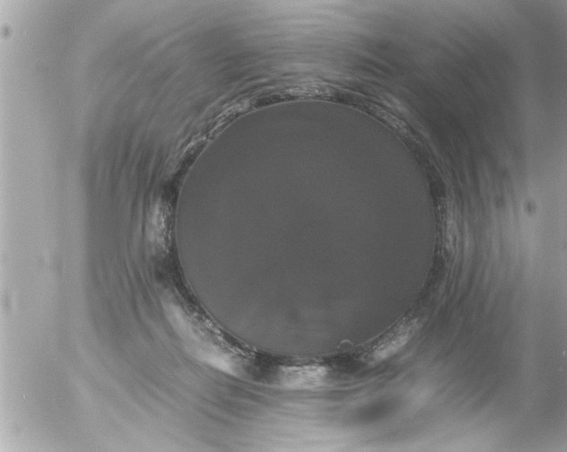 X0000055510266200508262148