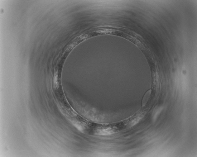 X0000055510267200508262148