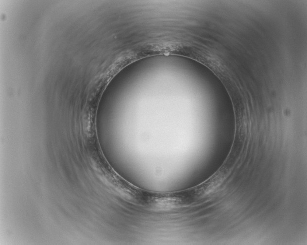 X0000055510268200508262148