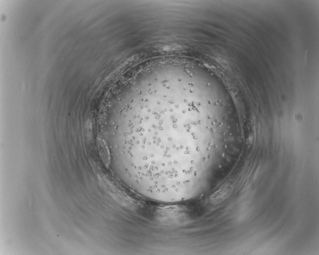 X0000055510269200508262148