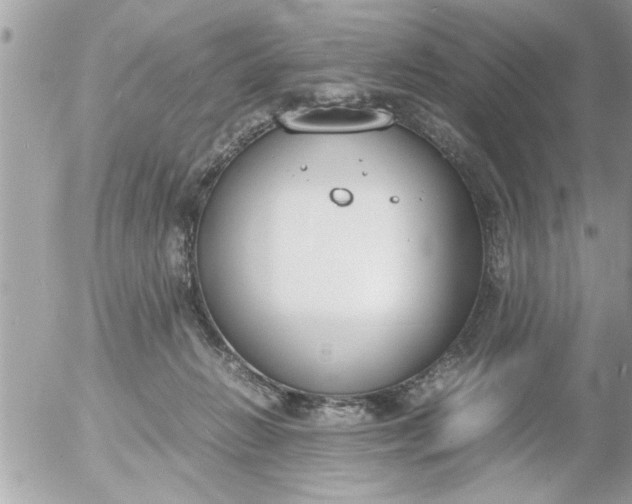 X0000055510270200508262148