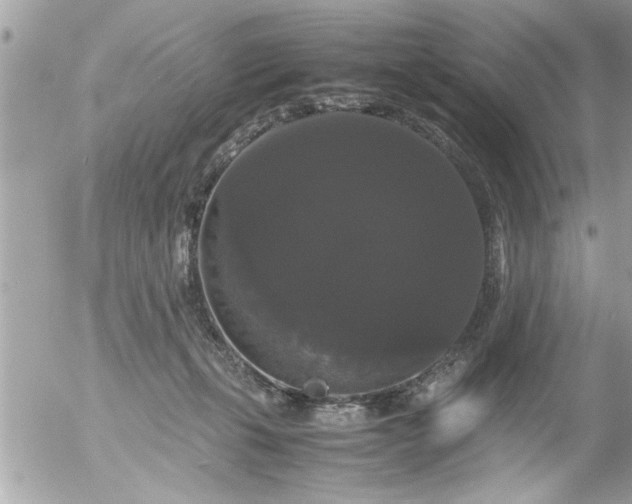 X0000055510271200508262148