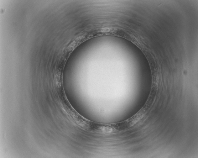 X0000055510272200508262148