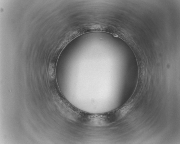 X0000055510273200508262148