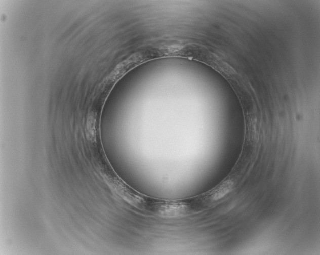 X0000055510274200508262148