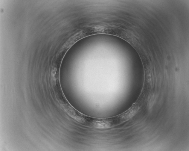 X0000055510275200508262148