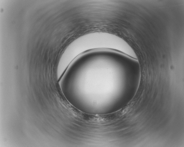 X0000055510276200508262148