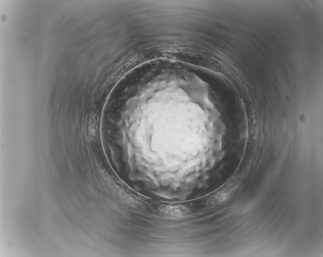 X0000055510277200508262148