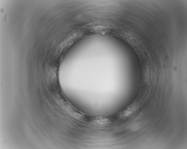 X0000055510278200508262148