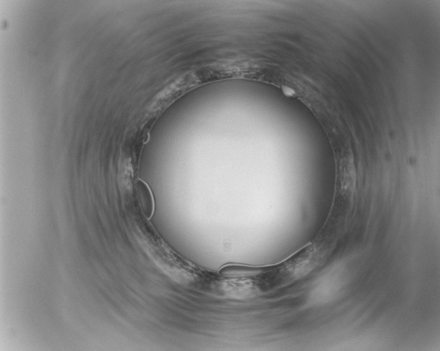 X0000055510279200508262148