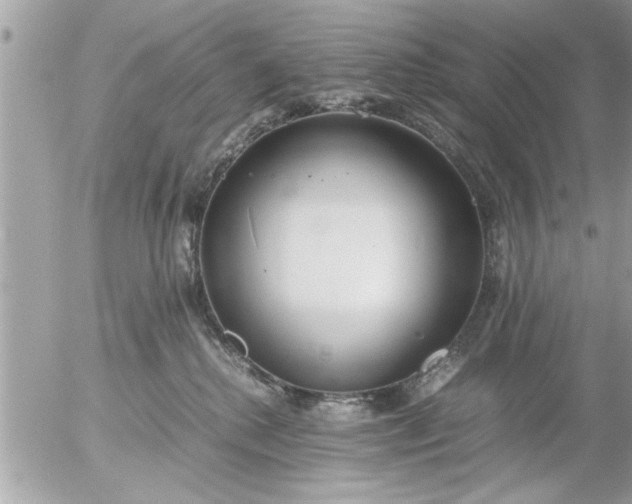 X0000055510280200508262148