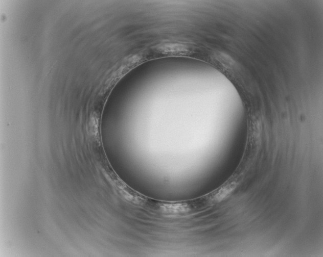 X0000055510281200508262148