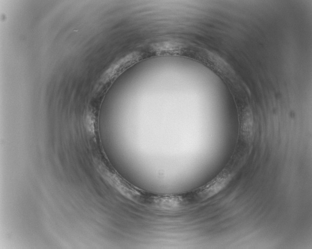 X0000055510282200508262148