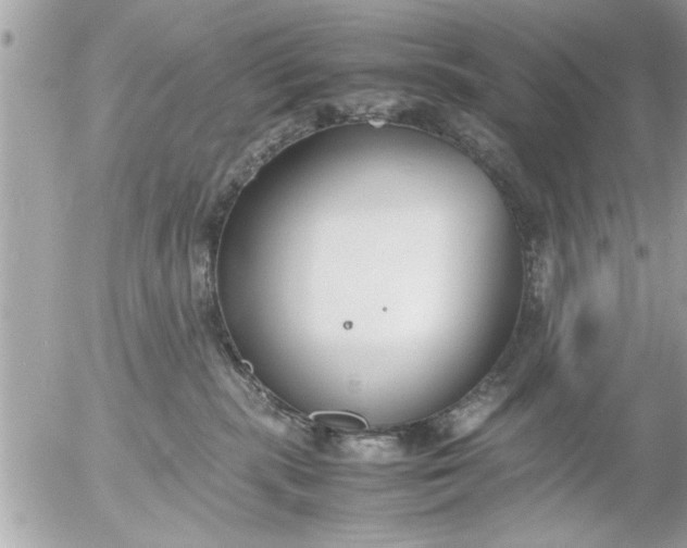 X0000055510283200508262148