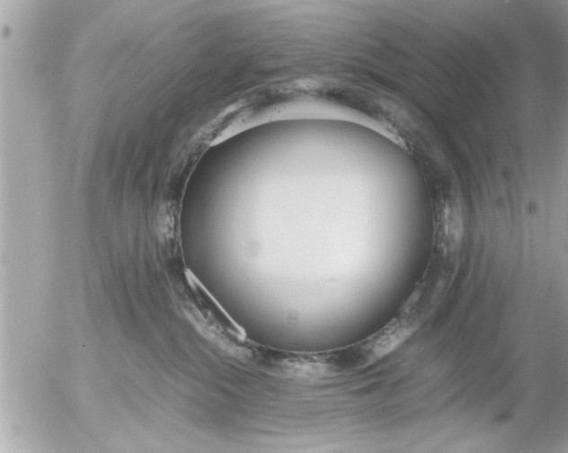 X0000055510284200508262148