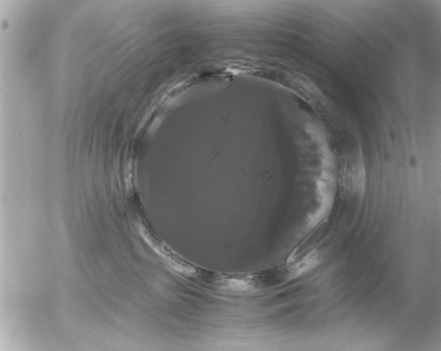 X0000055510285200508262148