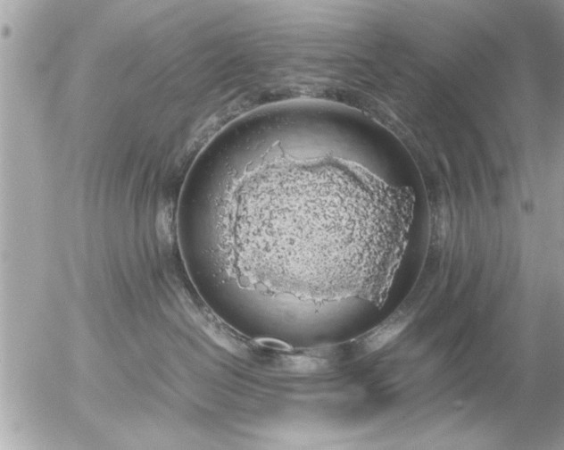 X0000055510286200508262148