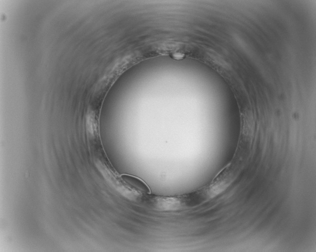 X0000055510287200508262148