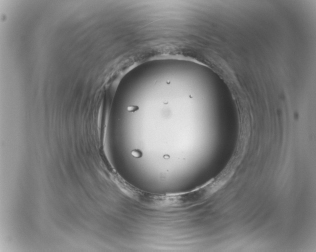 X0000055510288200508262148