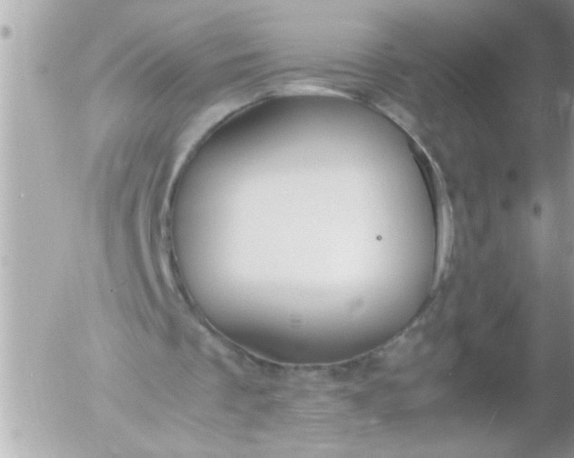 X0000055510289200508262147