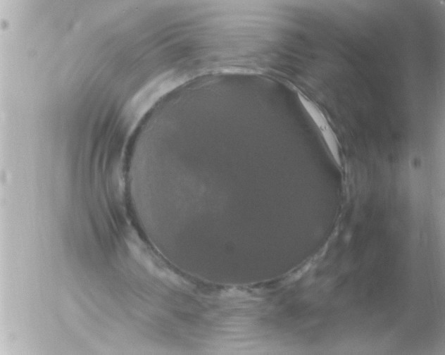 X0000055510290200508262147