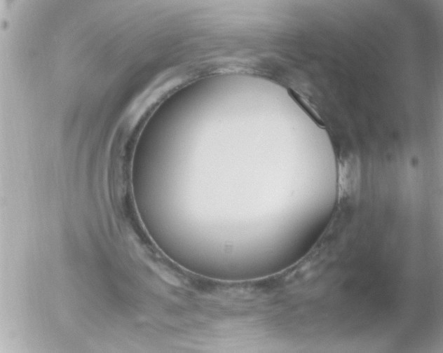 X0000055510291200508262147